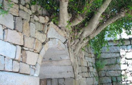 漳州东山风动石