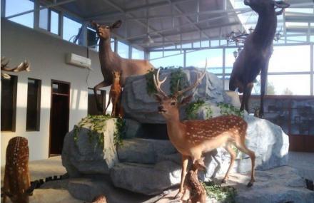 北京鹿世界科普主题园