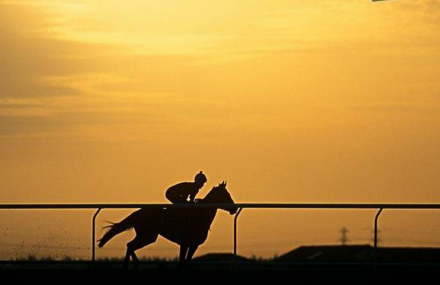 上海圣尚马术游乐会