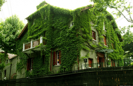 重庆曾家岩50号