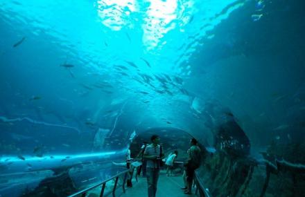 屏东国立海洋生物博物馆