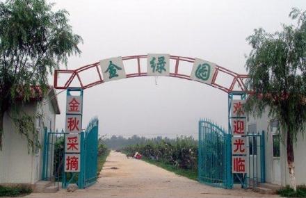 北京金绿园