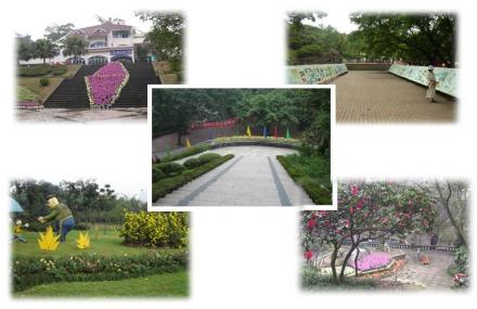 重庆三多桥白鹭园