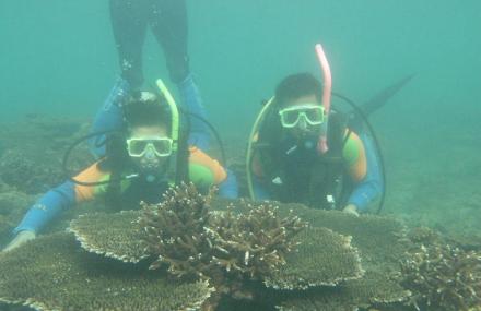 北海涠洲岛潜水