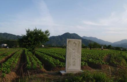 天津林节战国古文化遗址