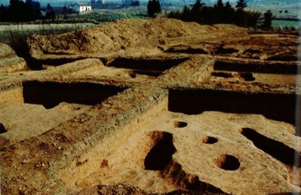 上海骆驼墩古文化遗址