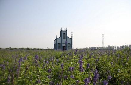 北京枫丹白露开心农场
