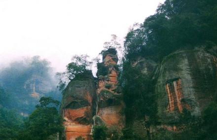 遵义亚热带常绿阔叶林