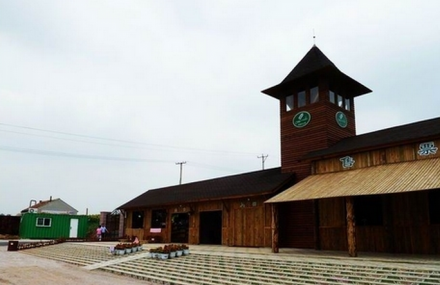 青岛幸福源薰衣草花田旅游区