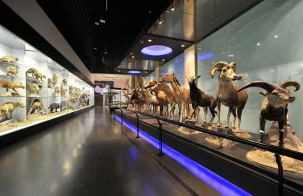 北京国家动物博物馆