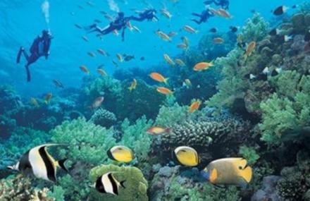 三亚亚龙湾海底世界