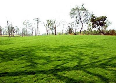 北京巴蜀文化园