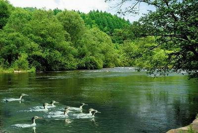 天津港北自然保护区
