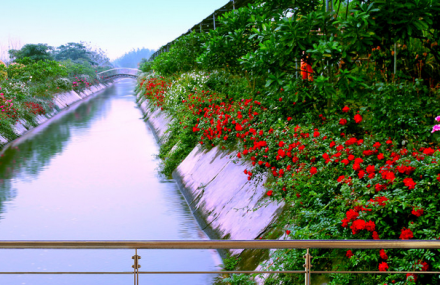 广州宝趣玫瑰世界