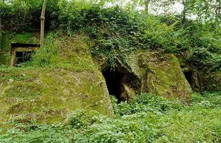 重庆涂井汉墓群