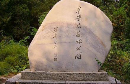 北京半壁店森林公园