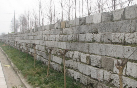 上海华亭东石塘