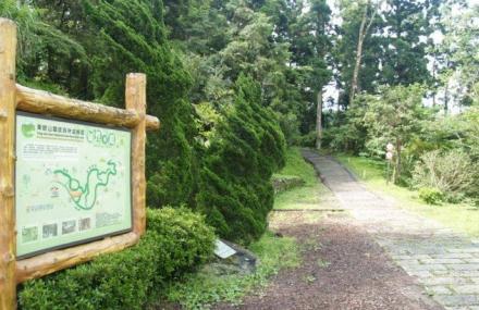 桃园东眼山森林游乐区