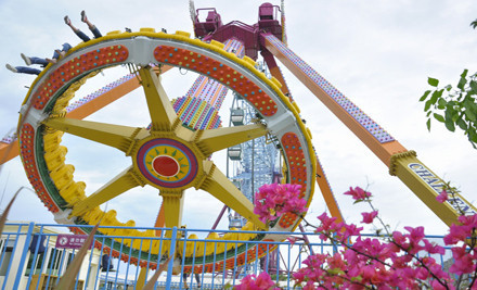 厦门梦幻陆世界