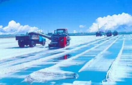 天津盐业风情游览区