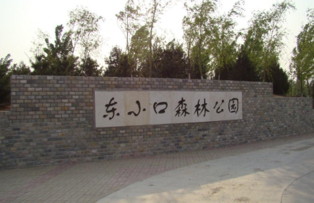 北京东小口森林公园
