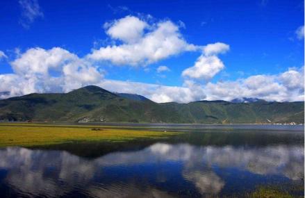 迪庆纳帕海归青草原