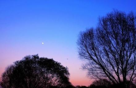天津柳林风景区