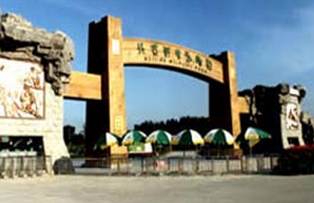 北京大兴呆呆熊娱乐城