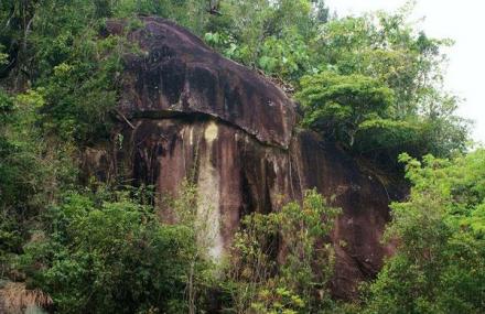 白沙坝王岭长臂猿自然保护区