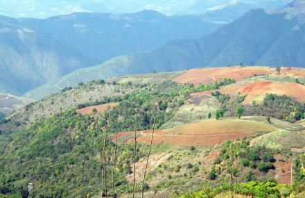 西双版纳哀劳山