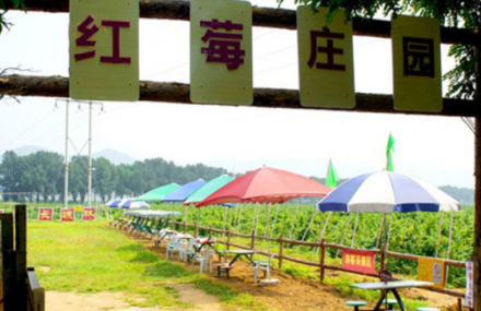 北京东方夏都金百瑞红莓庄园