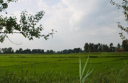 盘锦鑫安源绿色生态园