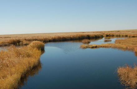 呼伦贝尔乌兰泡