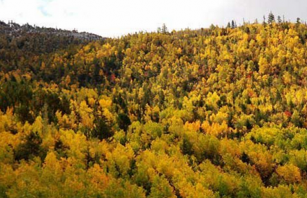 昌都红拉山自然保护区