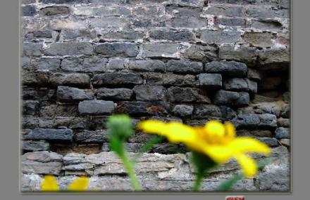 六安寿县古城墙