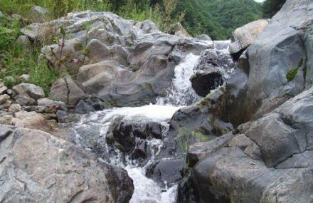 天水三黄谷森林公园