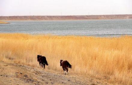 阿勒泰福海黄金海岸