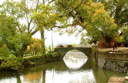 上饶严田古樟民俗园