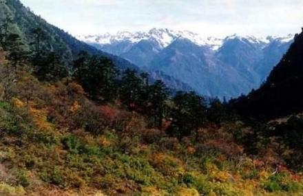 绵阳高山国家森林公园