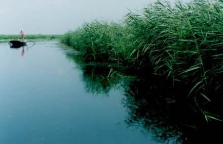 湖州芦花荡