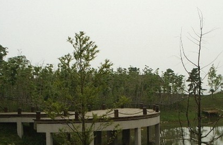 菏泽庄子钓鱼台