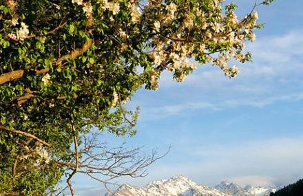 伊犁大莫乎尔和小莫乎尔