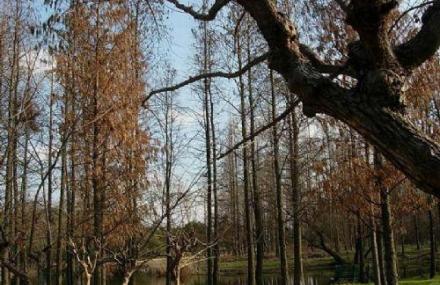 张家口和平森林公园