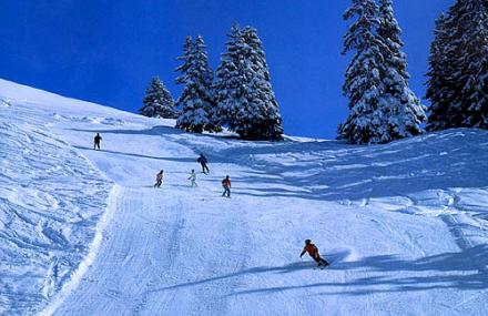 哈尔滨旭东滑雪场