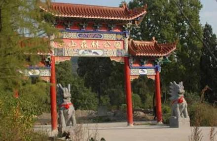 曲靖庙山森林公园