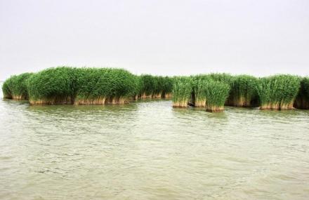 石嘴山避暑山庄罗家园