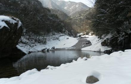 杭州大龙湾景区