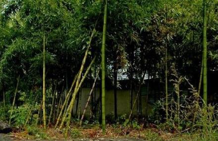 宁波王震南旧居