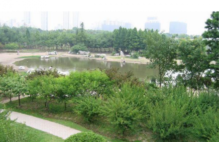 上海冬园
