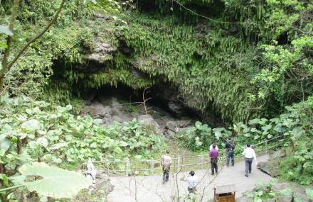 海口仙人洞